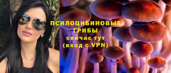мдпв Балабаново