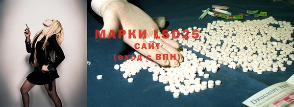 apvp Белокуриха