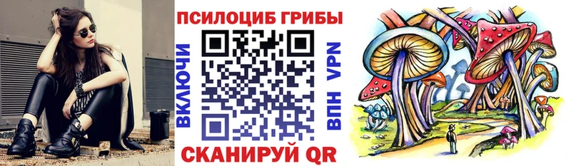 Купить где  Подпорожье  Псилоцибиновые грибы Psilocybe 