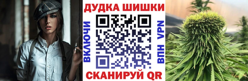 Купить где  Подпорожье  МАРИХУАНА сатива 